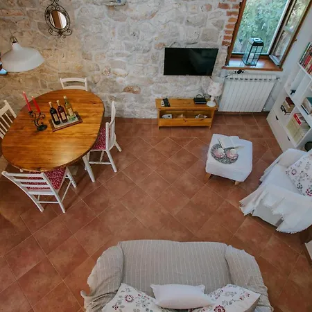 Rusula * Vrsine