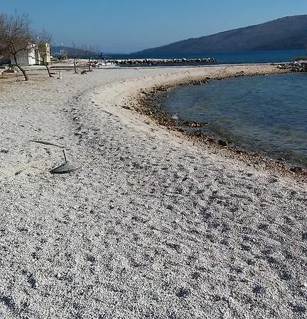 Rusula * Vrsine