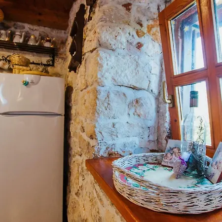 Prázdninový dům Rusula *